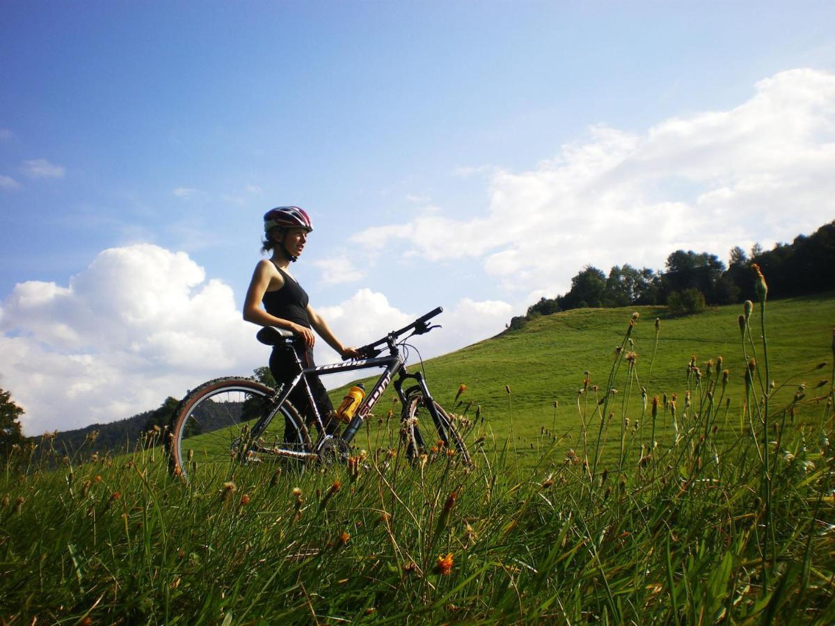 Wanderhotel Sonnebergbaude Waltersdorf  Bagian luar foto